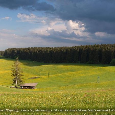 Entire House In Schwarzwald With Mountain View, Private Gym,Sauna And Garden Villa Unterkirnach Dış mekan fotoğraf