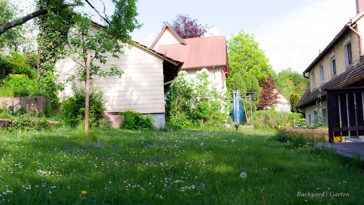 Entire House In Schwarzwald With Mountain View, Private Gym,Sauna And Garden Villa Unterkirnach Dış mekan fotoğraf
