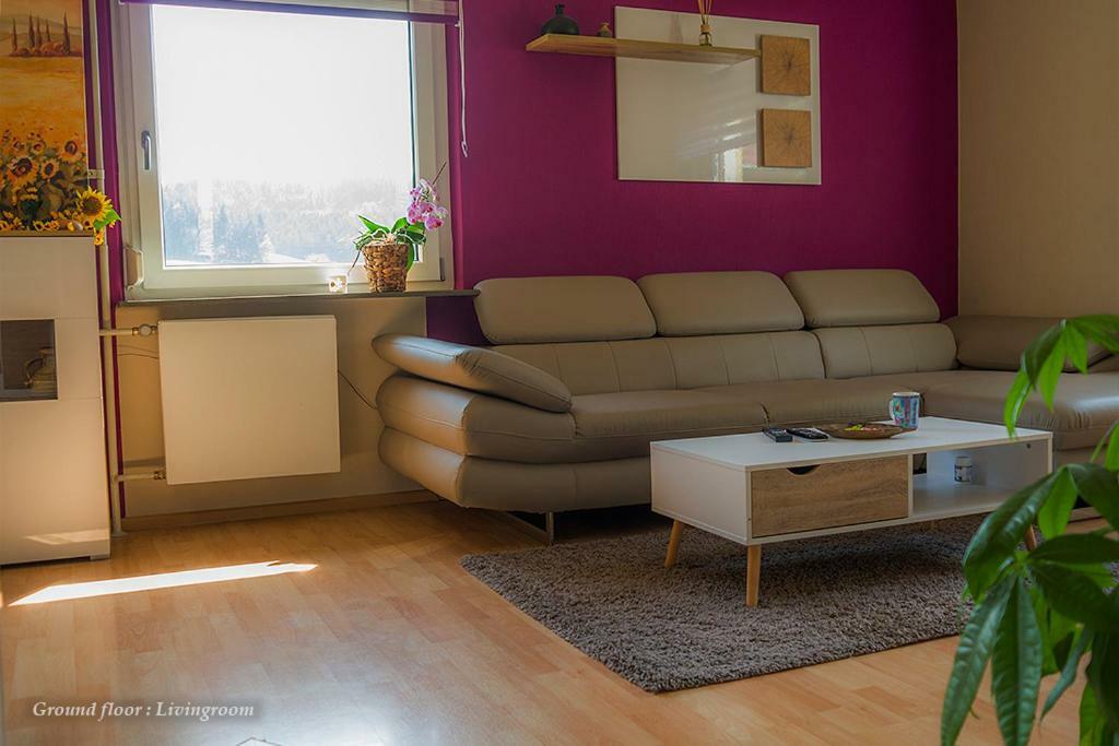 Entire House In Schwarzwald With Mountain View, Private Gym,Sauna And Garden Villa Unterkirnach Dış mekan fotoğraf