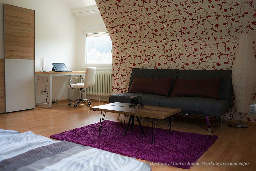 Entire House In Schwarzwald With Mountain View, Private Gym,Sauna And Garden Villa Unterkirnach Dış mekan fotoğraf